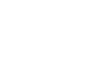 logo provisorio